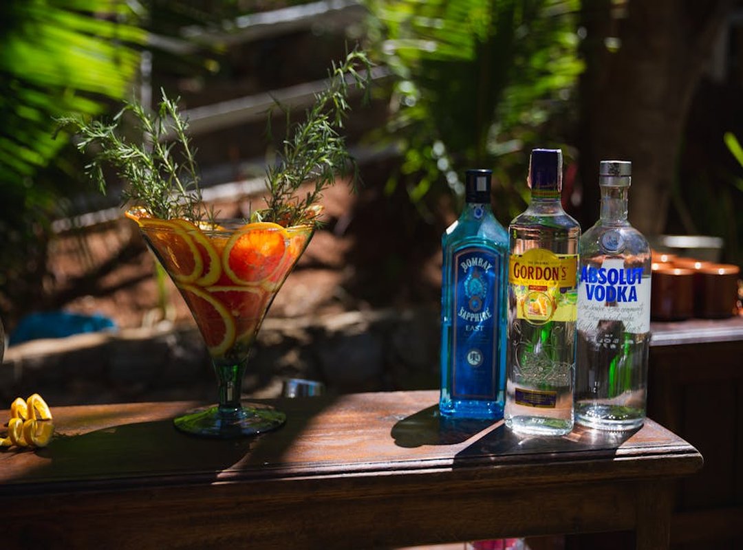 Top 3 LEGO Absolut Vodka Models You Can Get Now