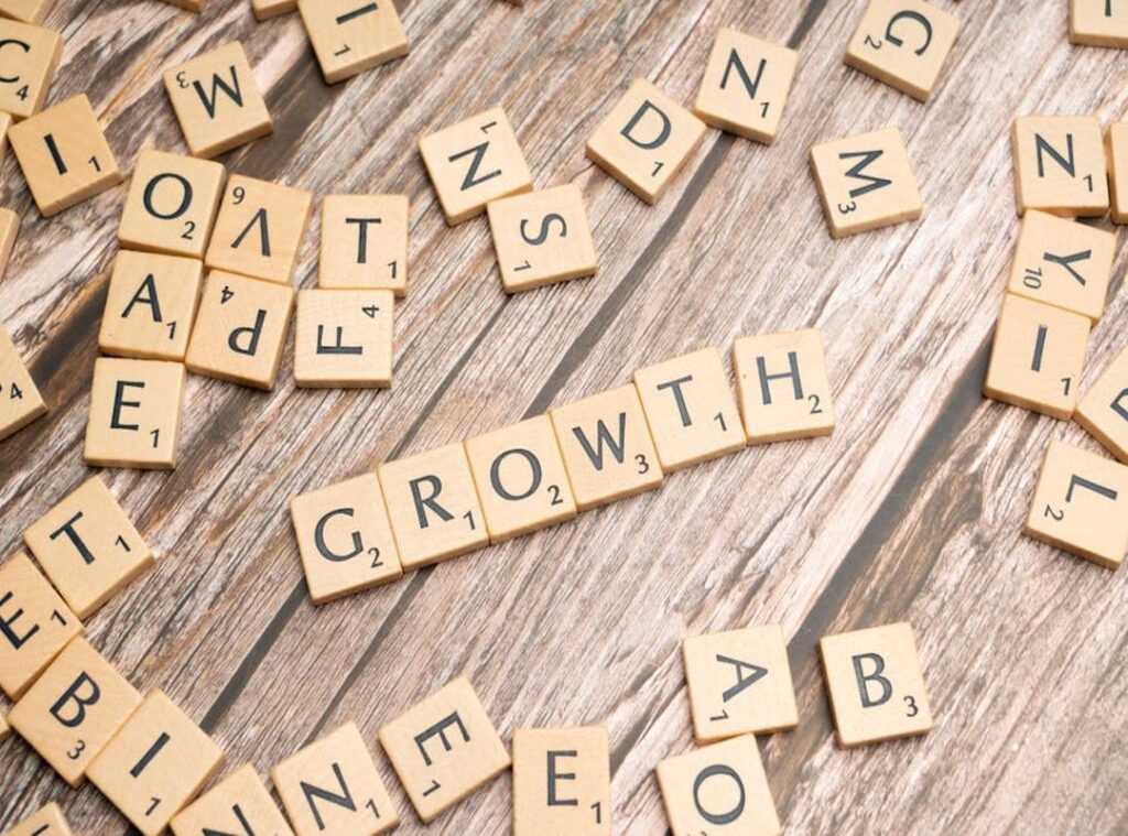 growth strategy frameworks