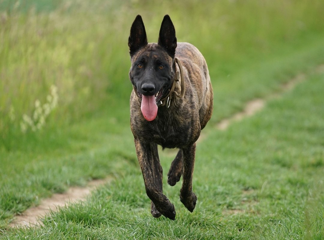 A Quick Guide to Using the Platform Safely